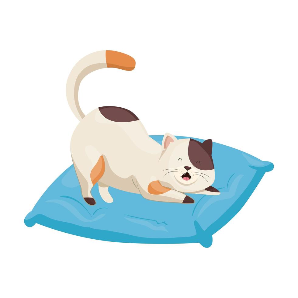 Lindo gatito en cojín icono aislado vector