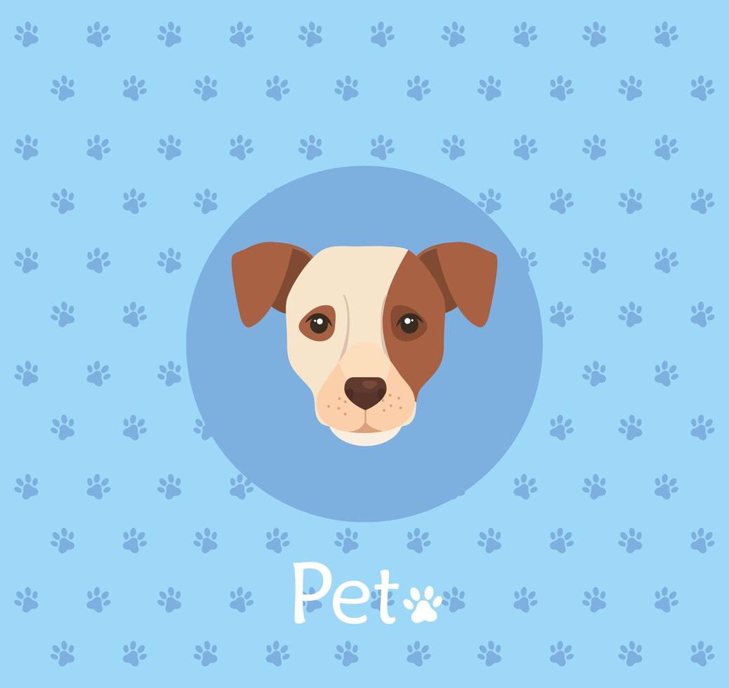 face of white dog with brown spot in background with pawprints vector