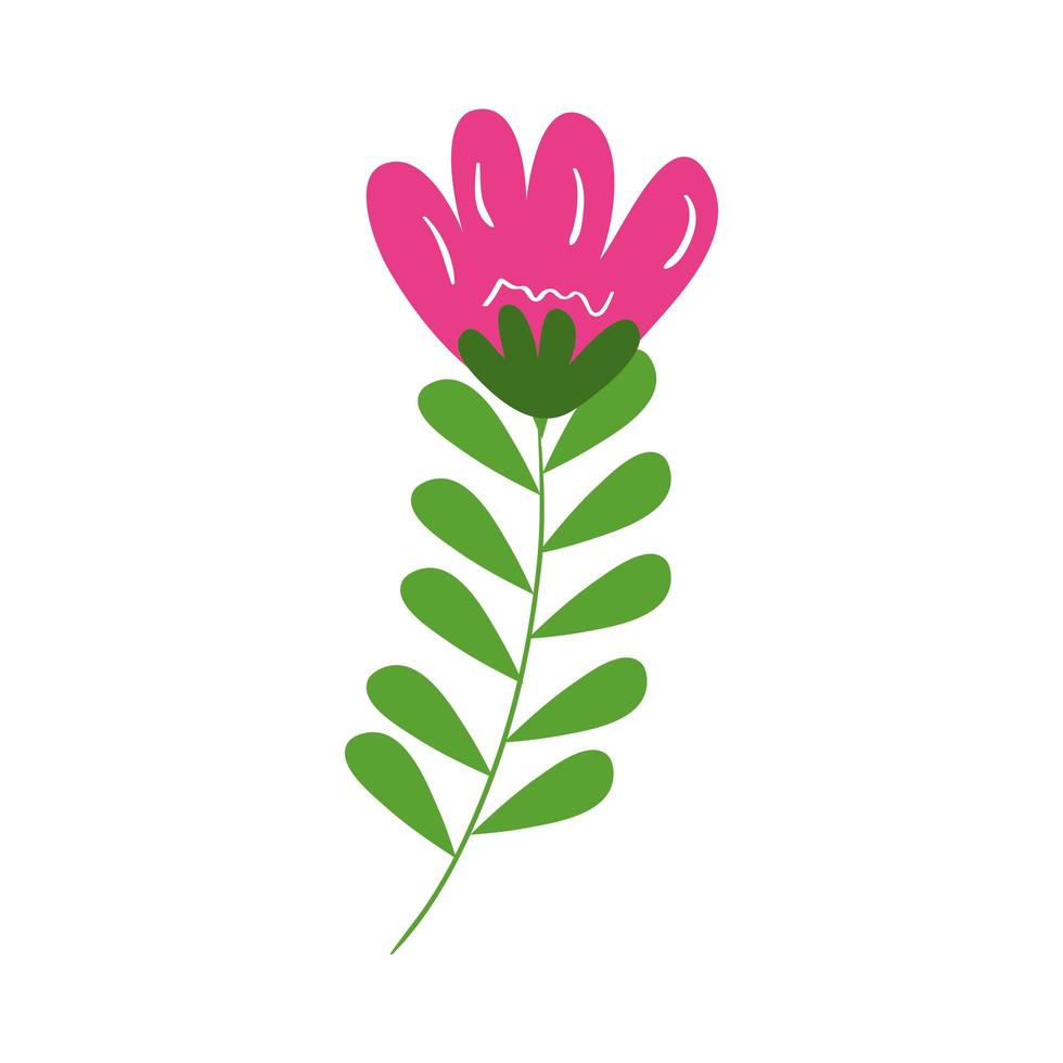 Isolated flower with leaves vector design