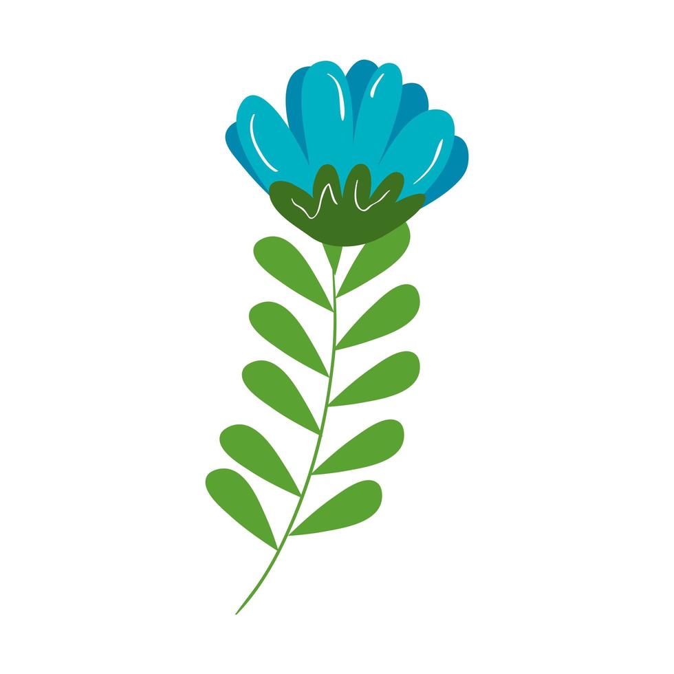 Isolated flower with leaves vector design