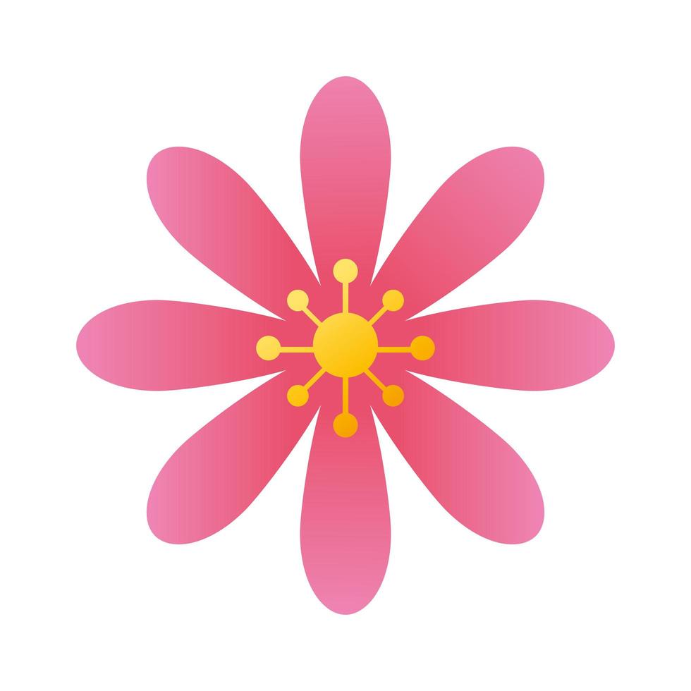 cute flower pink color isolated icon vector