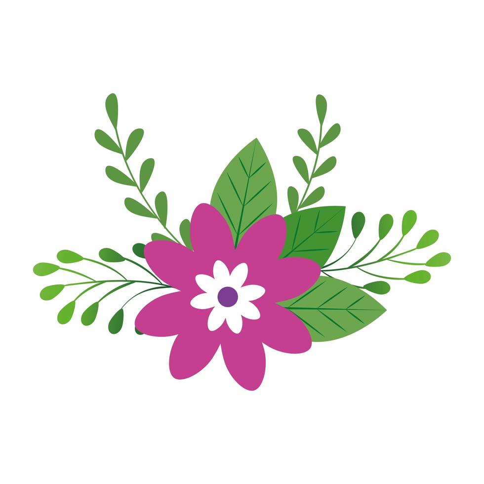 cute flower purple color with branches and leafs vector