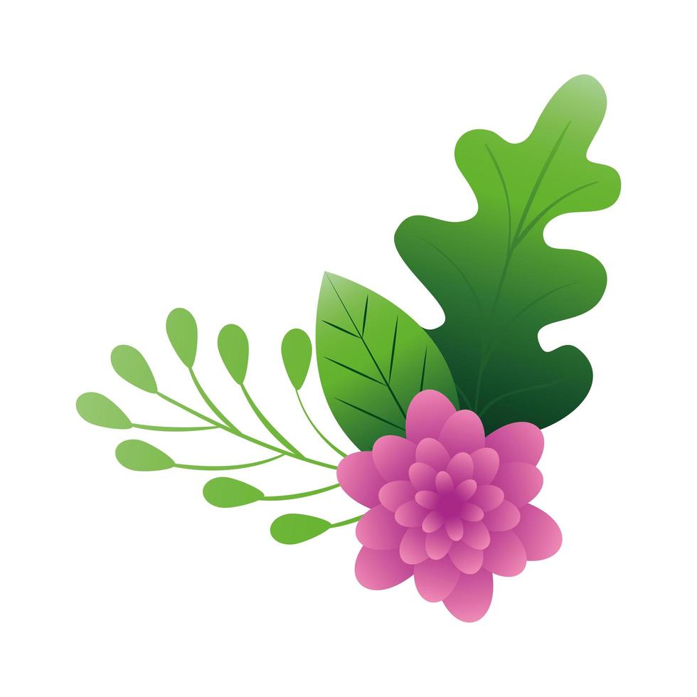 cute flower purple color with branches and leafs vector