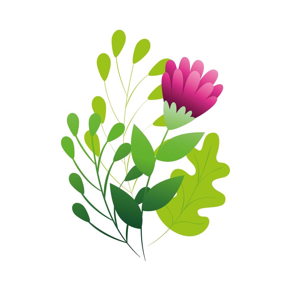 cute flower purple color with branches and leafs vector