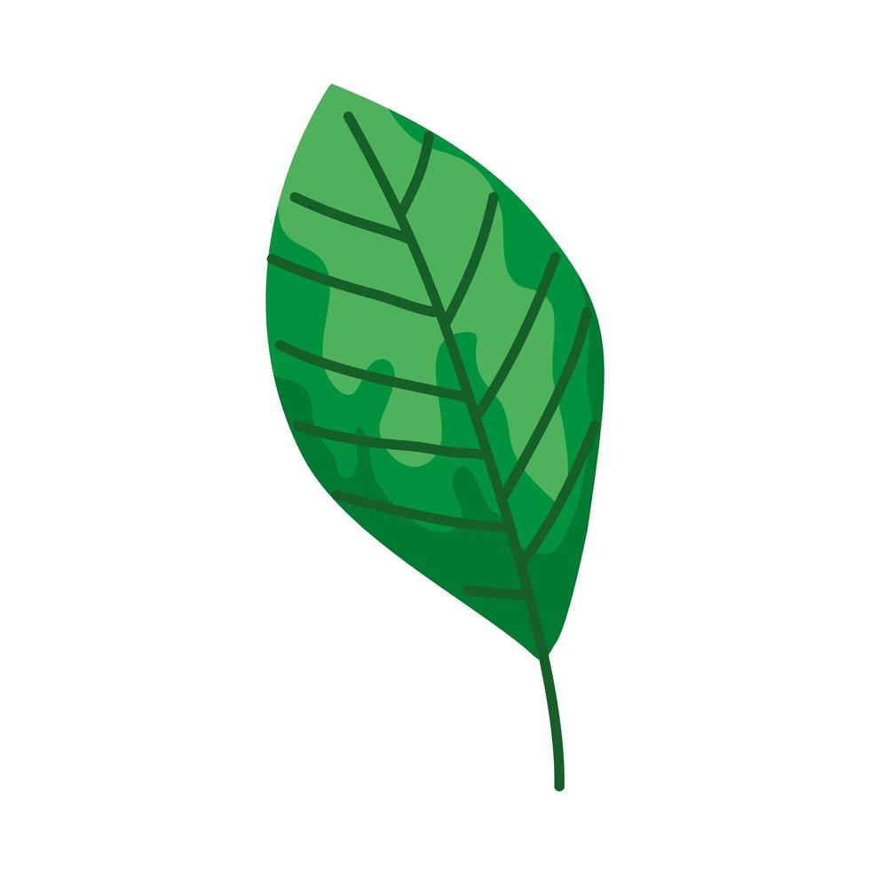 hoja, naturaleza, ecología, aislado, icono vector