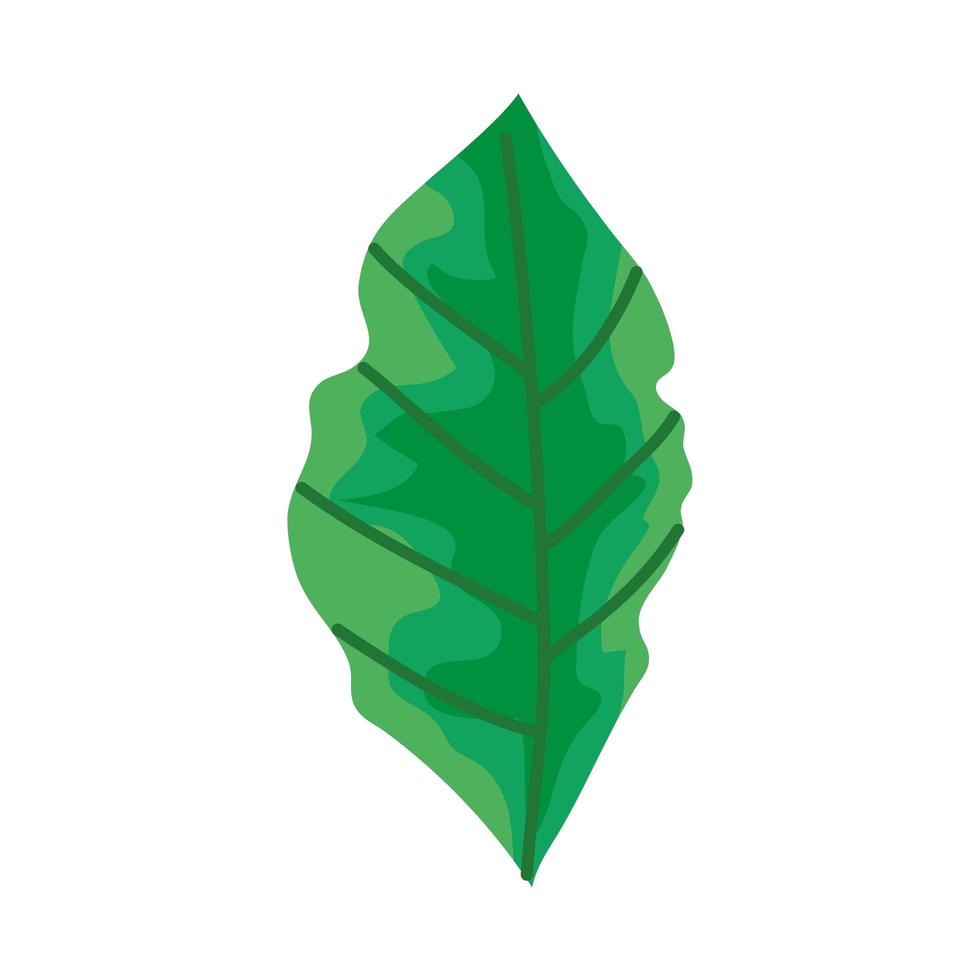 hoja, naturaleza, ecología, aislado, icono vector