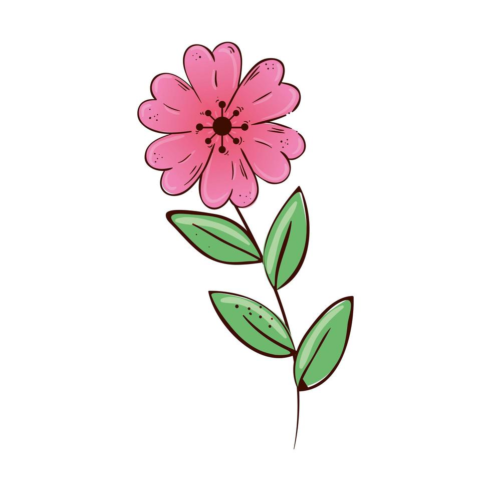 cute flower pink with branch and leafs isolated icon vector