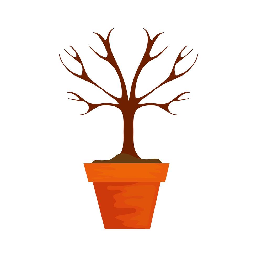 dry tree in pot plant isolated icon vector