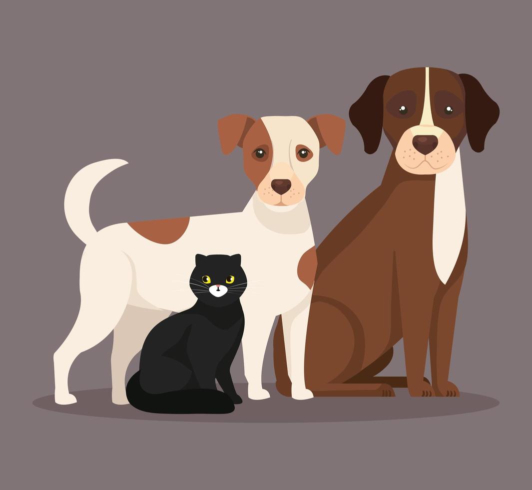 lindos perros con gato negro vector