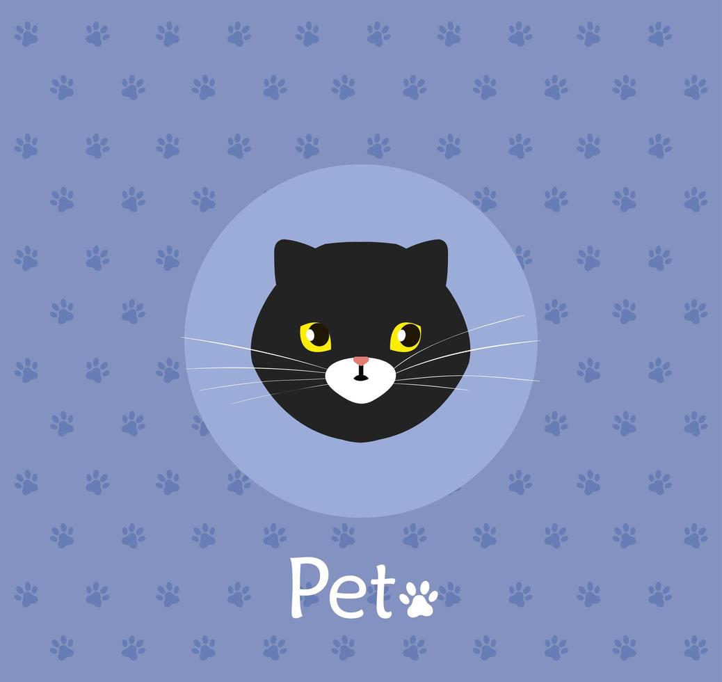 face of cat black in background with pawprints vector