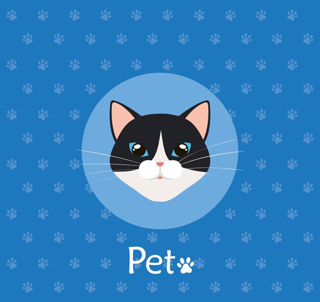 face of cat black and white in background with pawprints vector