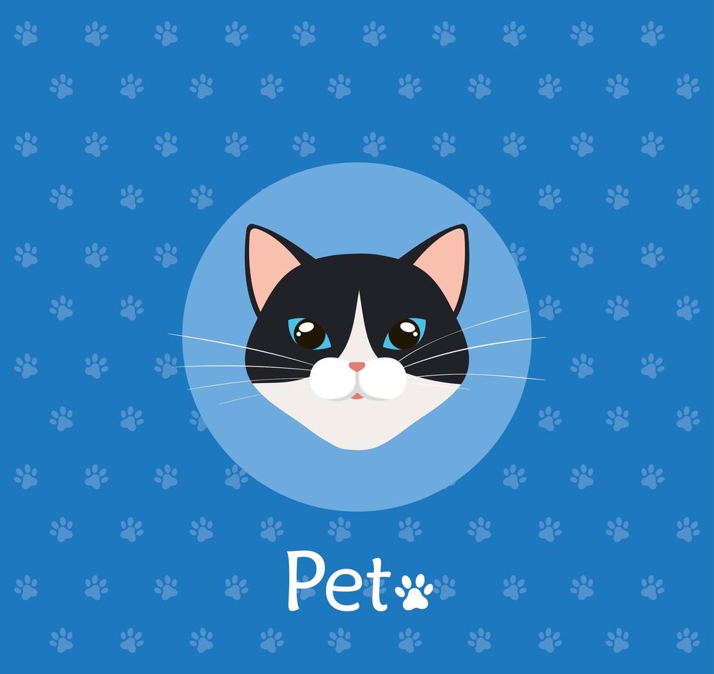 Cara de gato en blanco y negro de fondo con pawprints vector