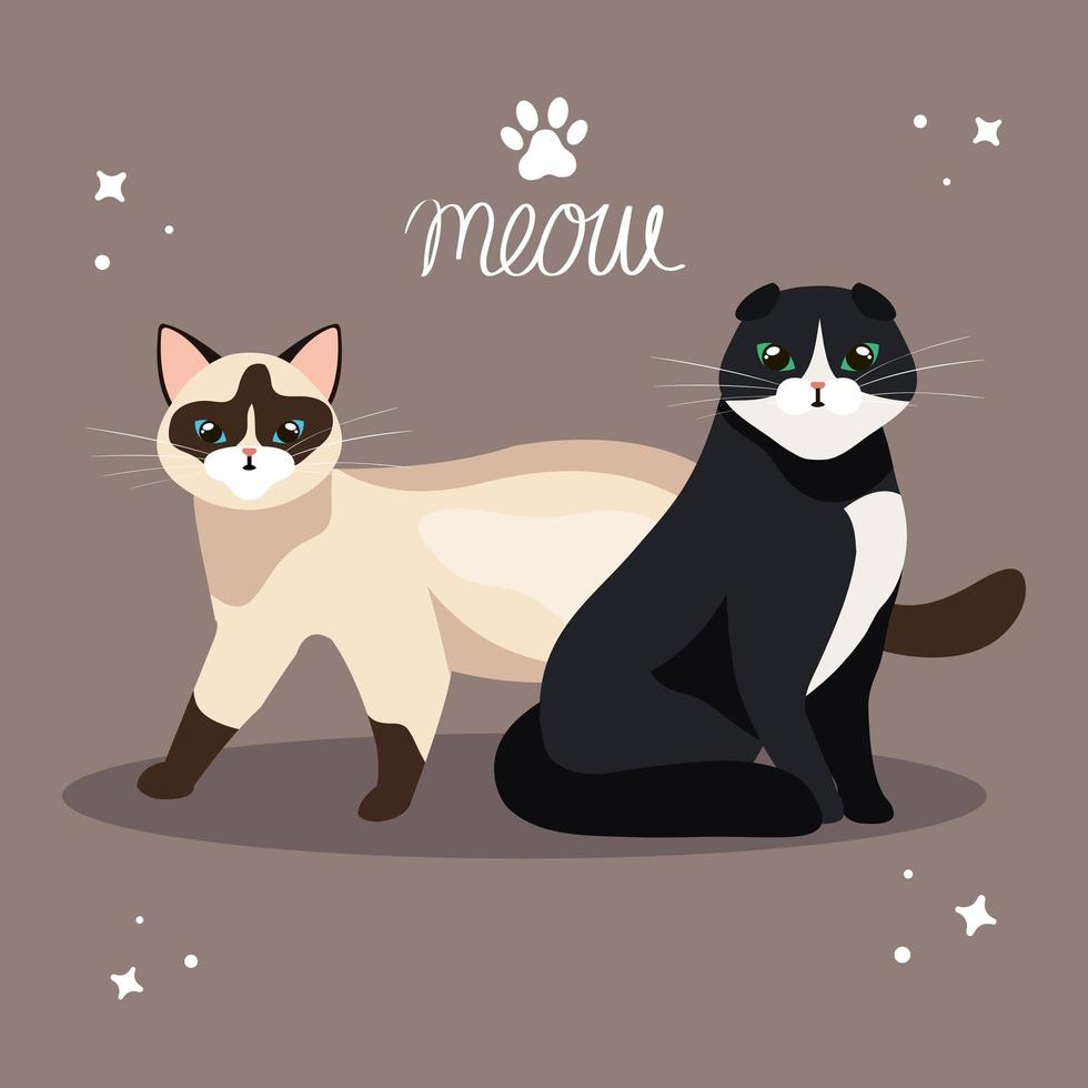 grupo de lindos gatos animales vector