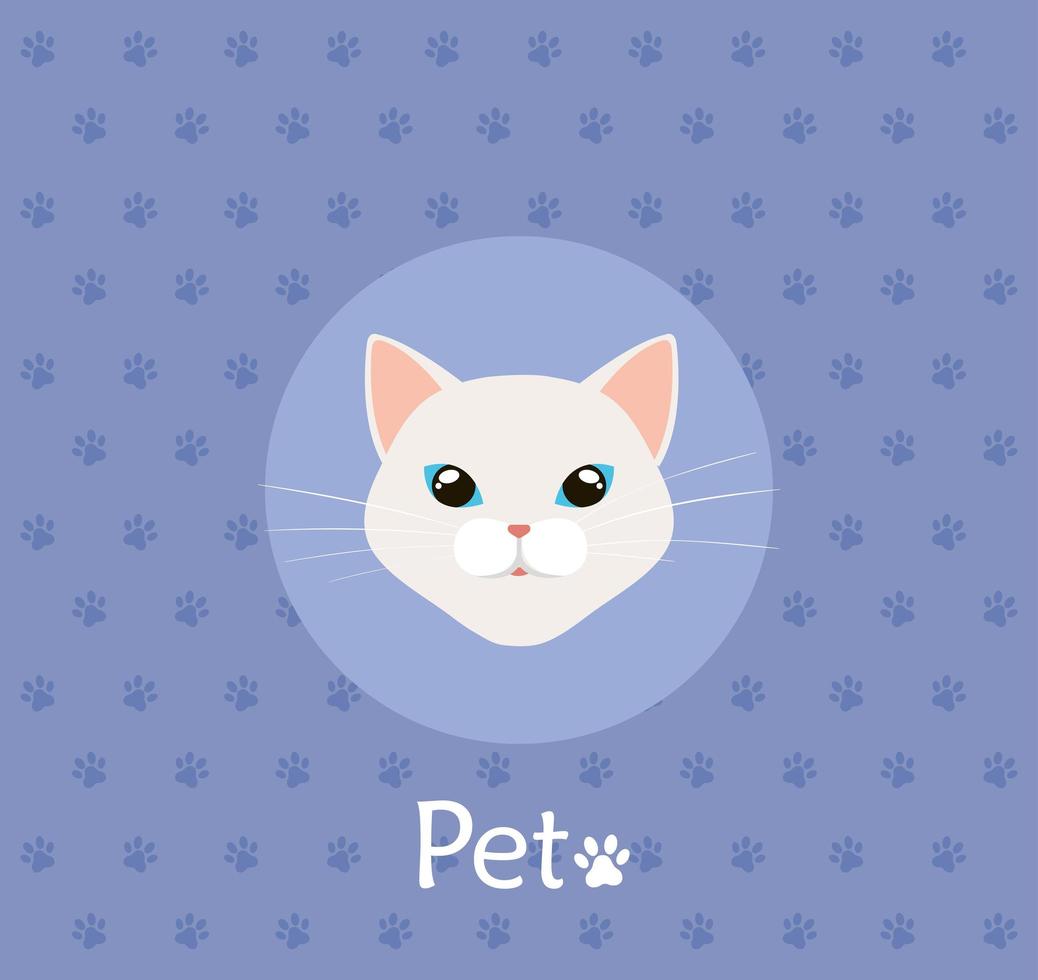 face of cat white in background with pawprints vector