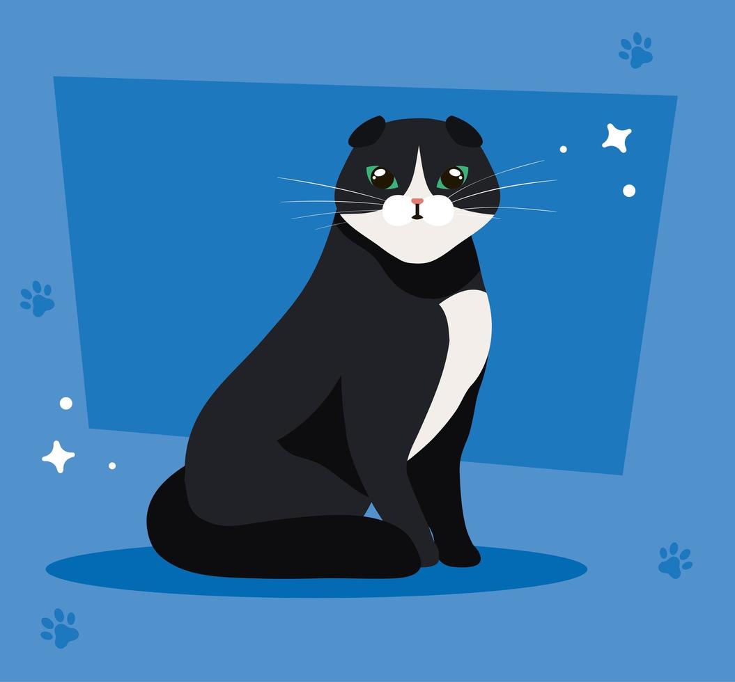 Lindo gato blanco y negro en fondo azul con huellas de patas vector