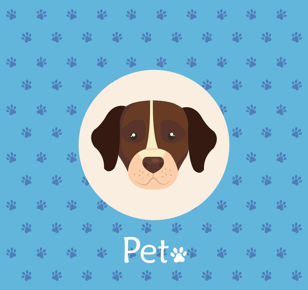 Cara de perro marrón con mancha blanca en el fondo con pawprints vector