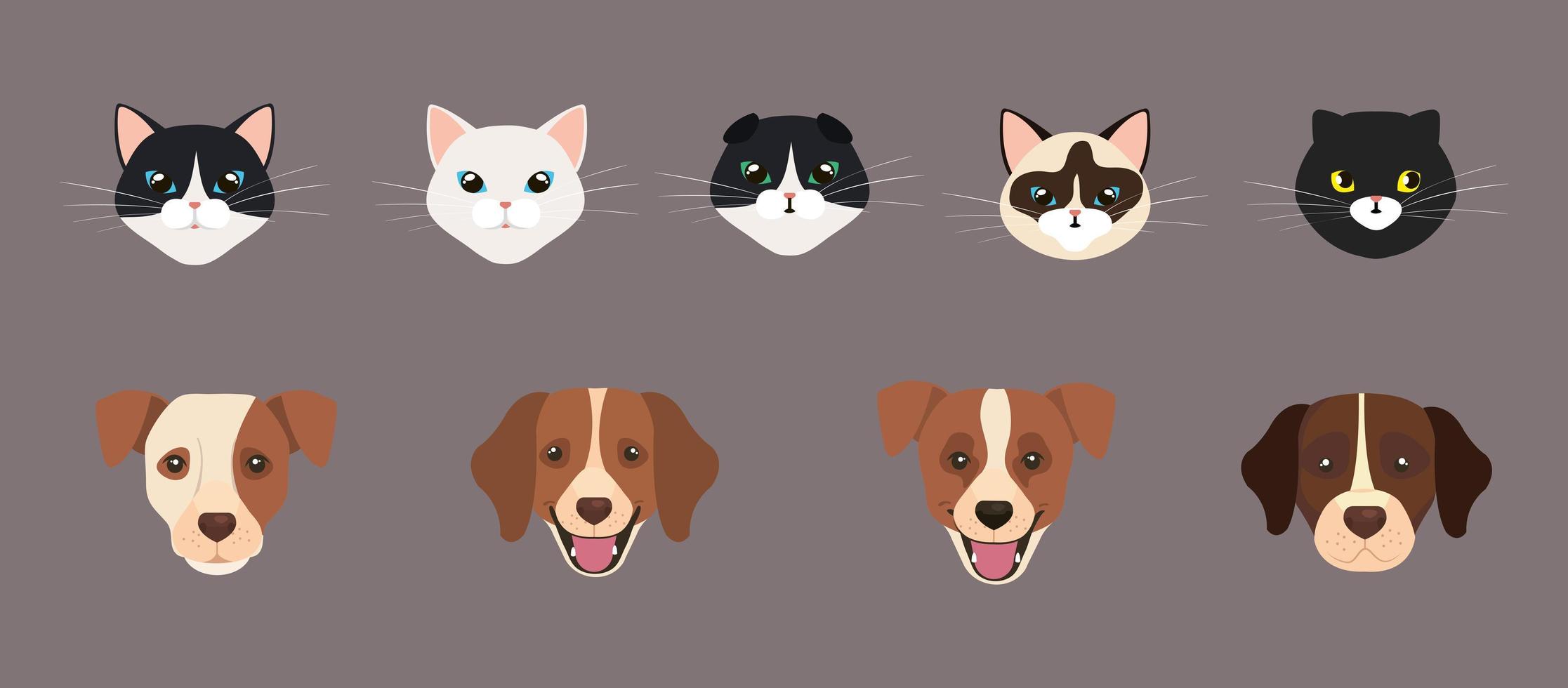 conjunto de caras lindas de perros y gatos vector