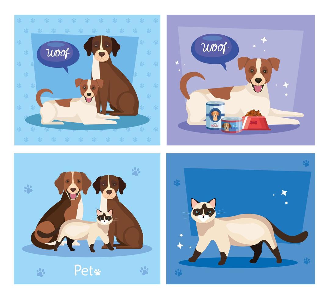 set poster of cute cats with dogs and icons vector