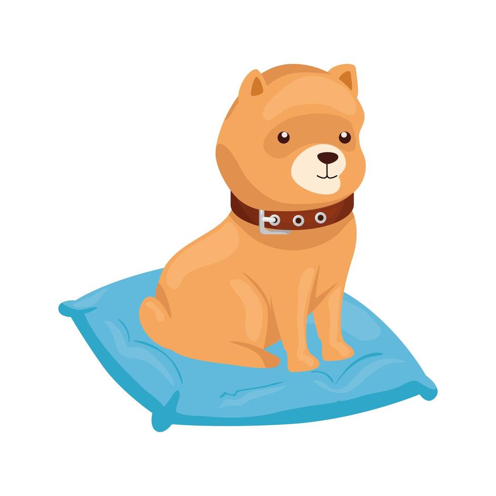 lindo perro en cojín icono aislado vector