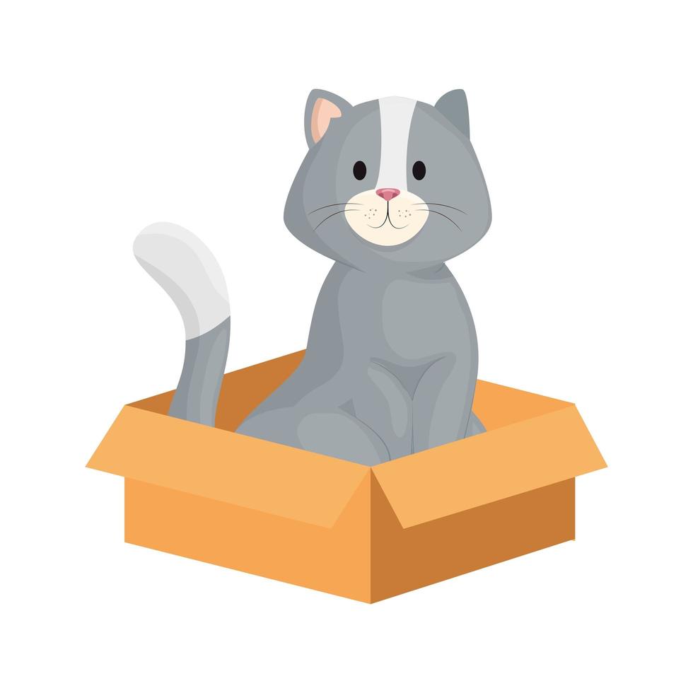 cute little cat in box carton isolated icon vector