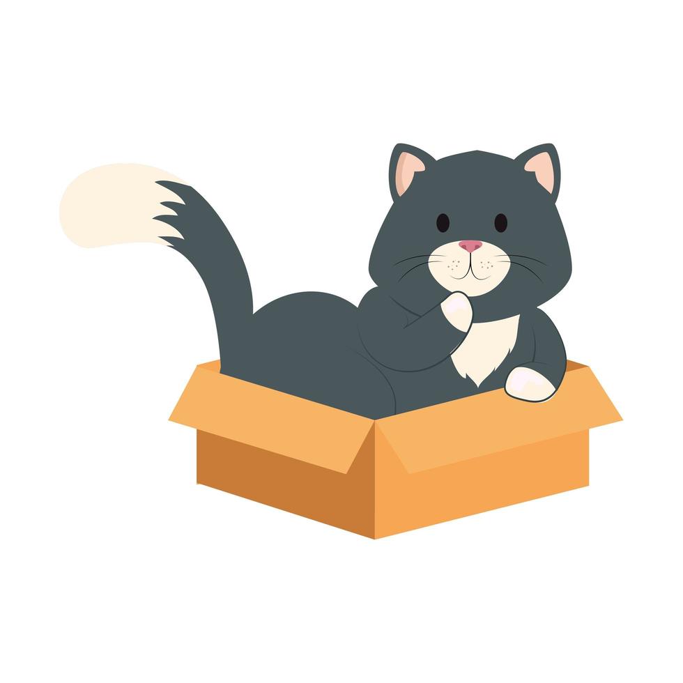 cute little cat in box carton isolated icon vector