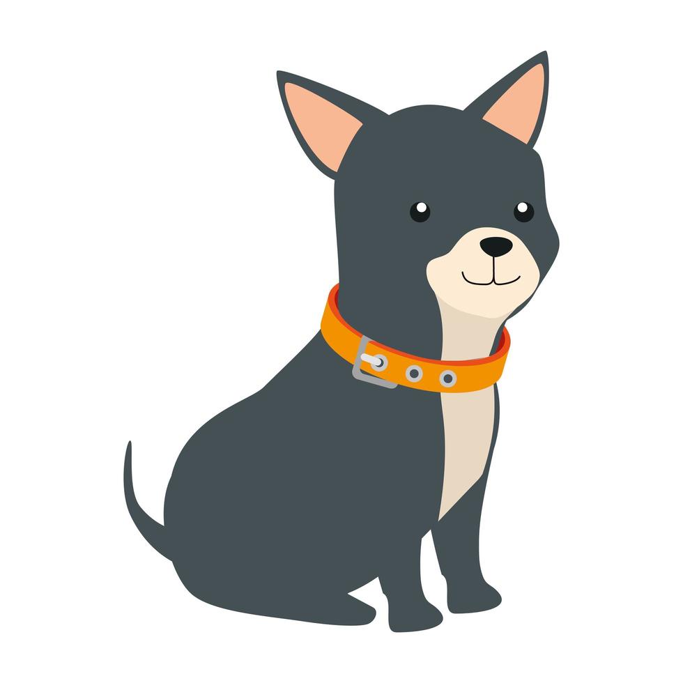 cute dog animal isolated icon vector