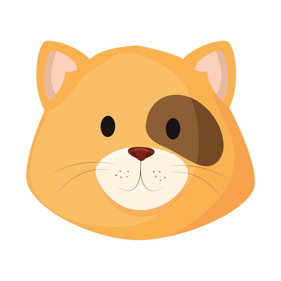 face of cute little cat animal icon vector