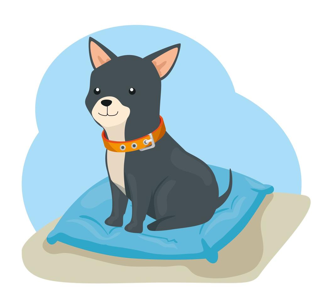 cute dog animal with collar in cushion vector
