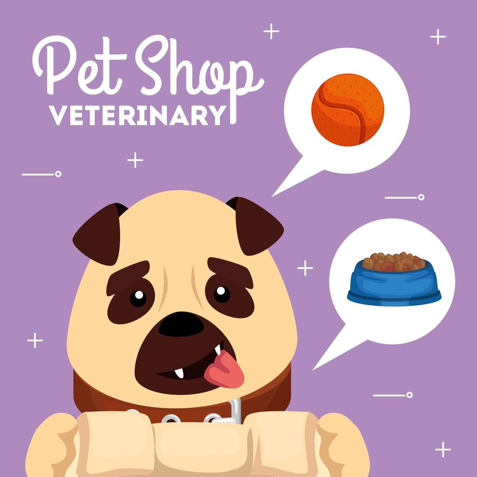 pet shop veterinary with cute dog and icons vector