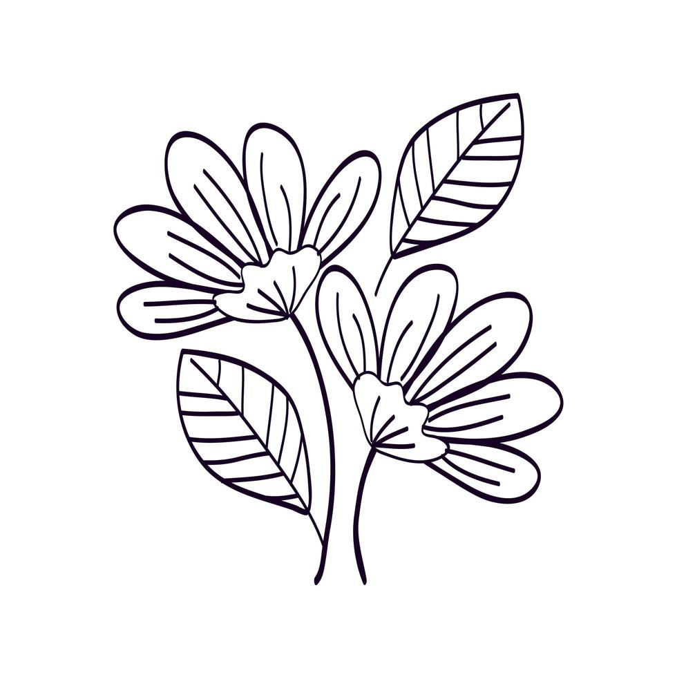 cute flowers with branches and leafs line style icon vector