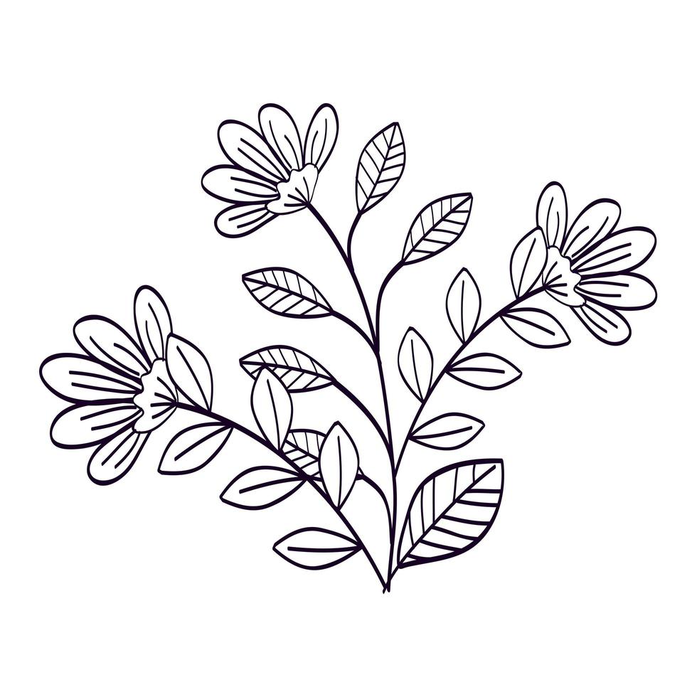 cute flowers with branches and leafs line style icon vector