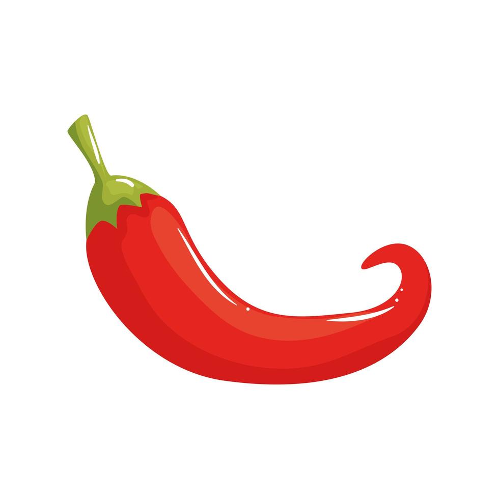 Isolated chilli vegetable vector design