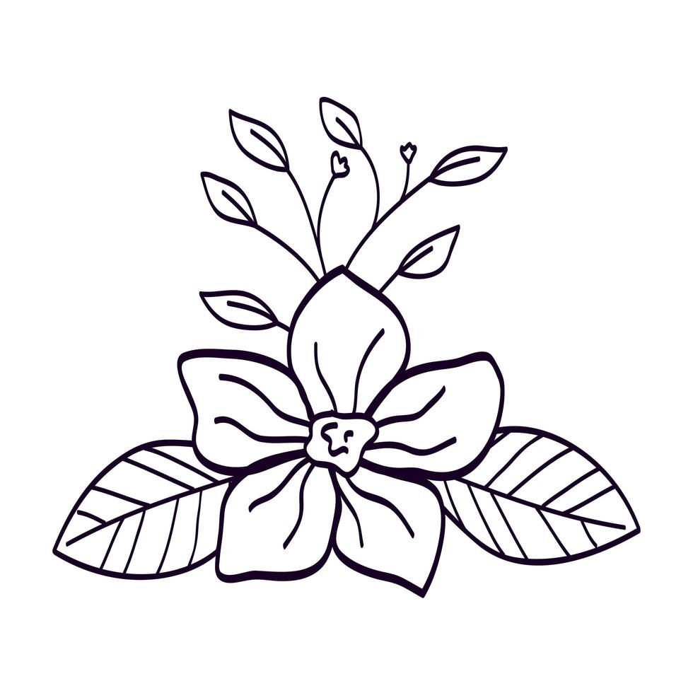 cute flower with branch and leafs line style icon vector