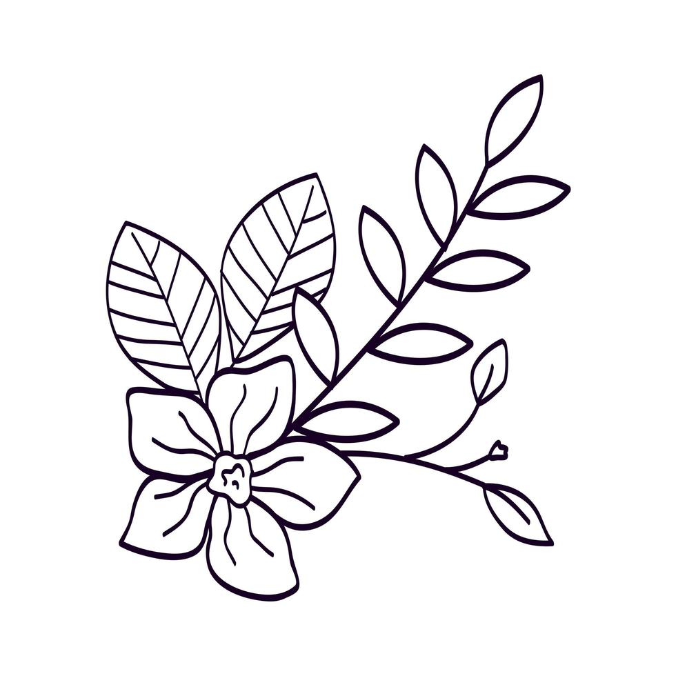 cute flower with branches and leafs line style icon vector