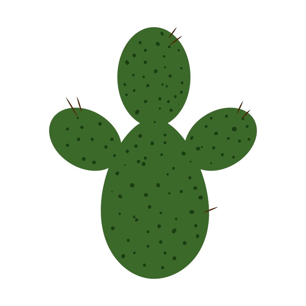 Isolated cactus plant vector design