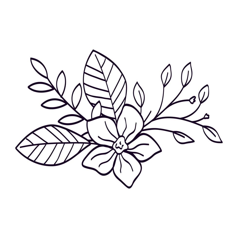 cute flower with branches and leafs line style icon vector