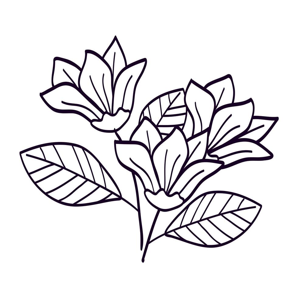 cute flowers with branches and leafs line style icon vector