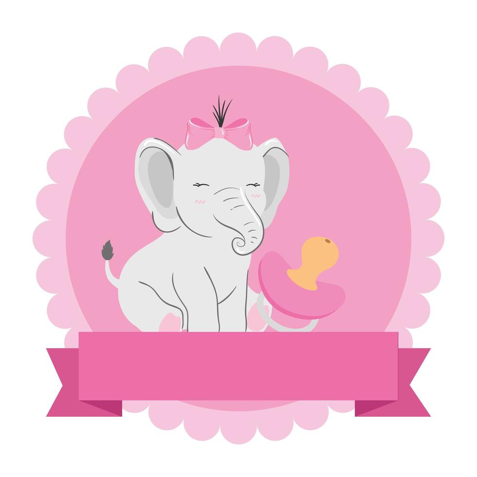 lindo elefante hembra con chupete en marco de encaje vector