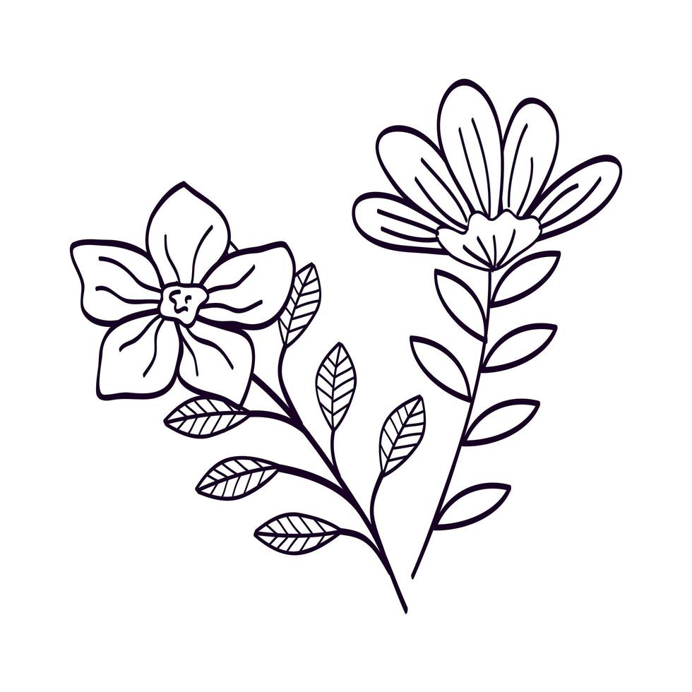 cute flowers with branches and leafs line style icon vector