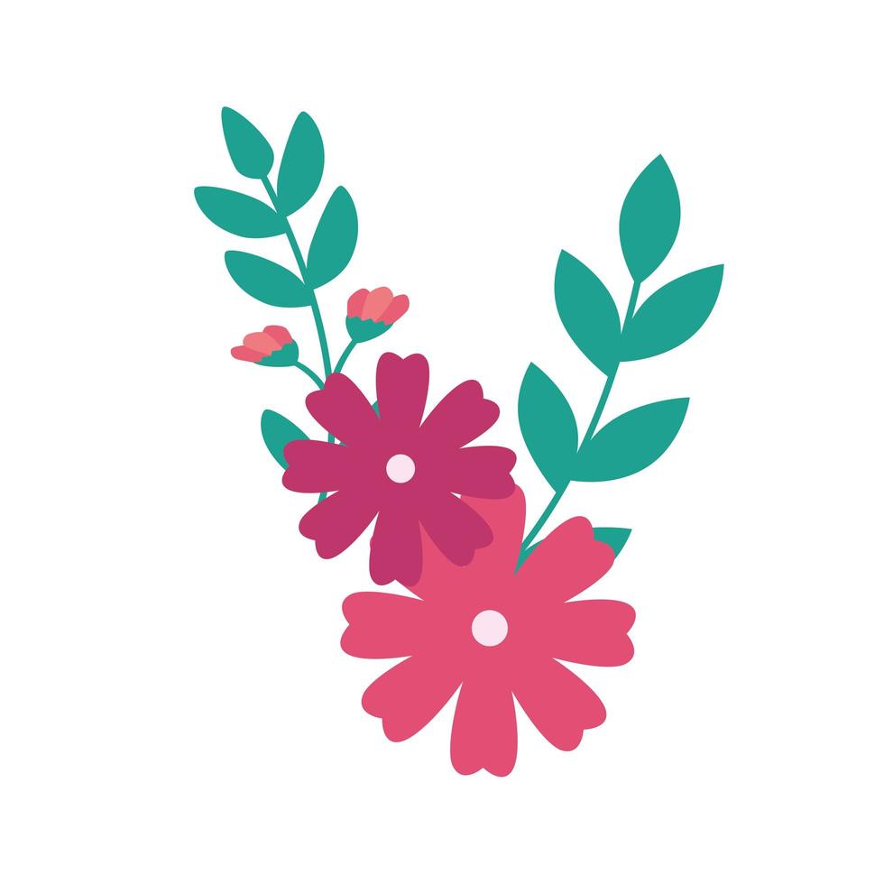 cute flowers pink with branches and leafs vector