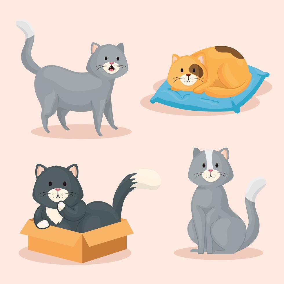 group of cute little cats vector