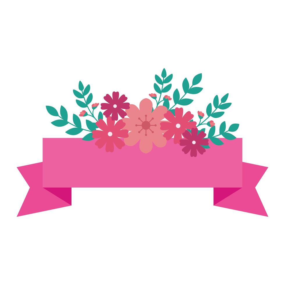 cute flowers pink with leafs and ribbon decoration vector