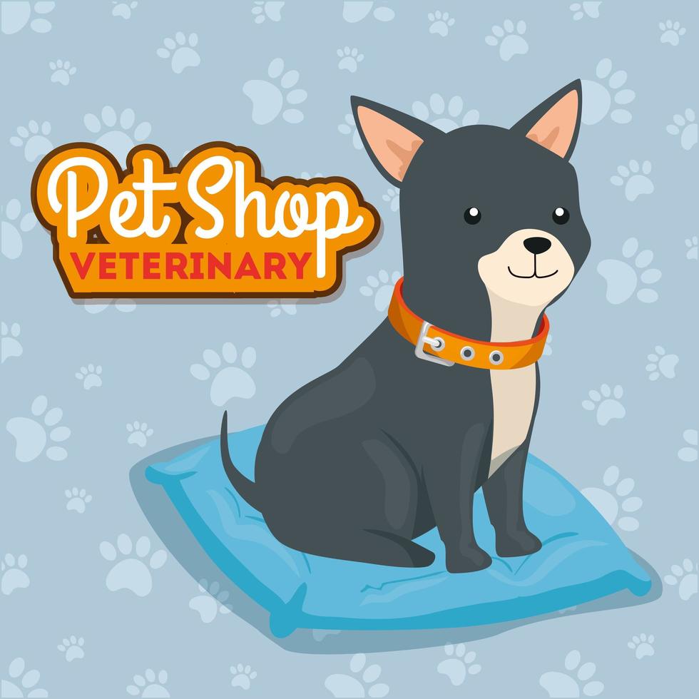 pet shop veterinary with cute dog vector