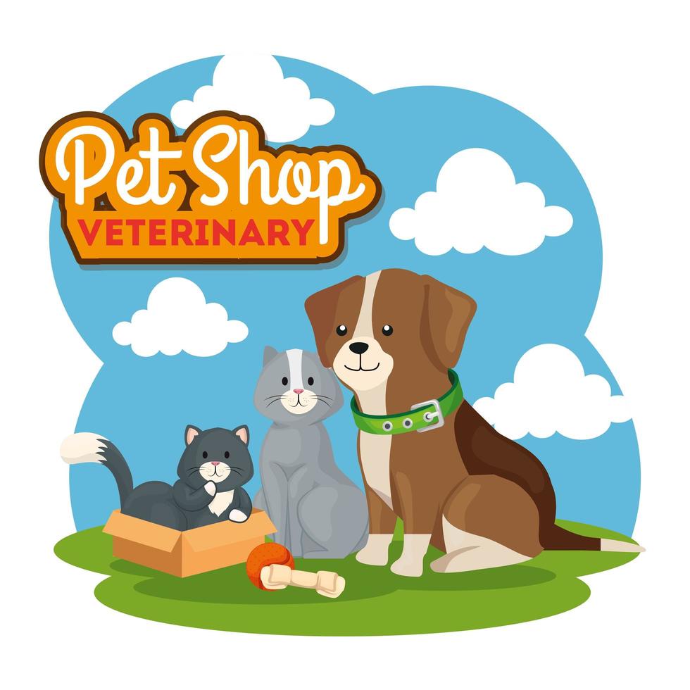 Tienda de mascotas veterinaria con lindos gatos y perros. vector