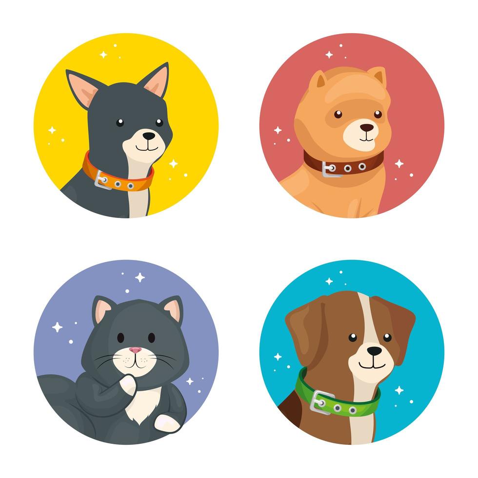 grupo de caras perros y gatos vector