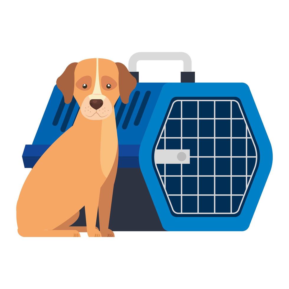 cute dog animal with pet carry box vector