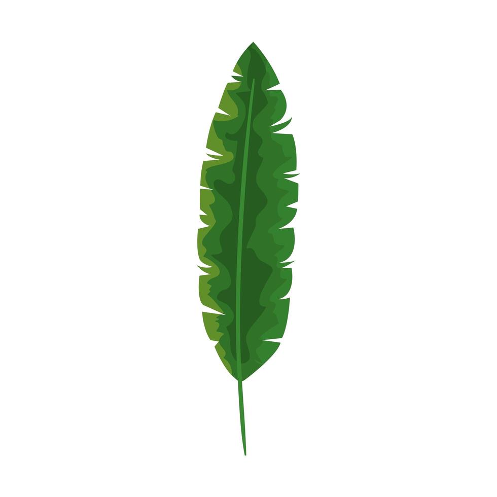 tropical natural leaf isolated icon vector