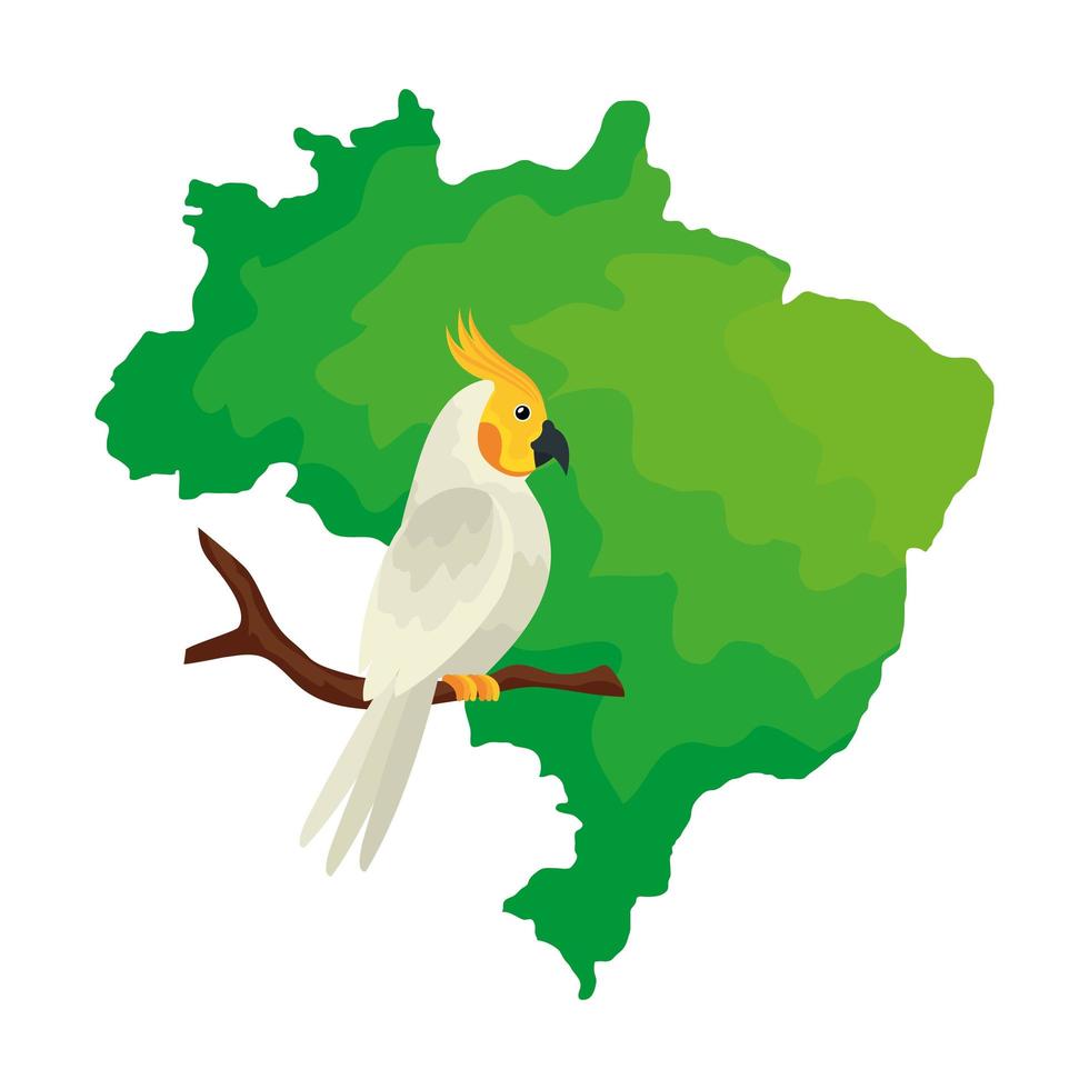 Mapa de Brasil con pájaro loro icono aislado vector