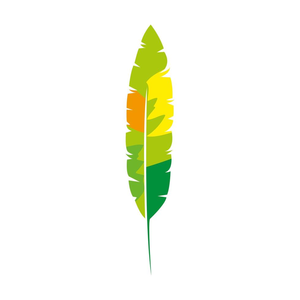 exotic feather bird isolated icon vector