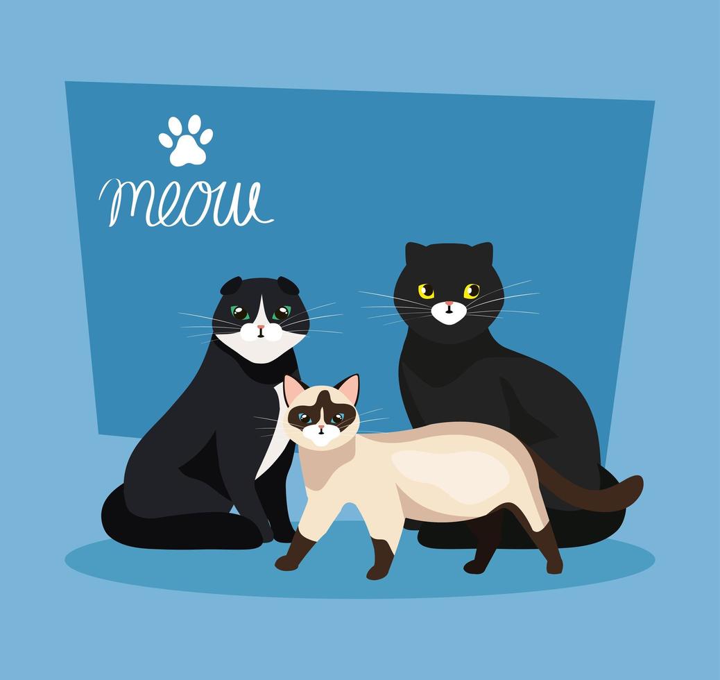 Grupo de gatos animales en fondo azul. vector